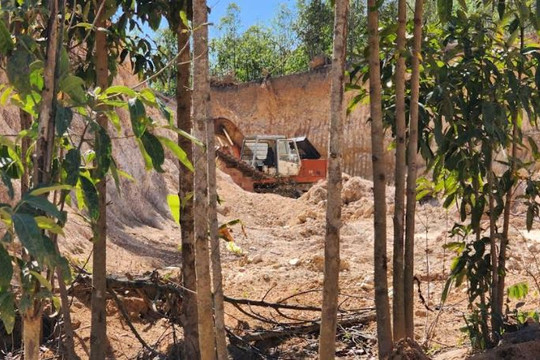Kon Tum: Hàng nghìn m3 “đất lậu” được vận chuyển đi san lấp trái phép