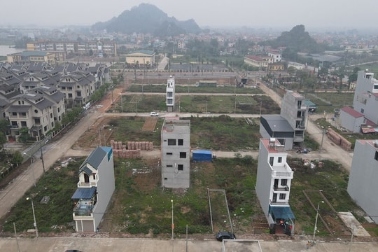 Lượng giao dịch đất nền năm 2022 gấp gần 4 lần năm 2021