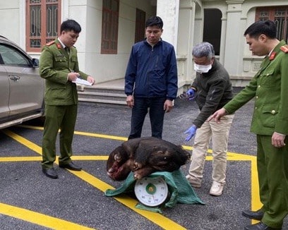Bị bắt vì vận chuyển, bán động vật hoang dã