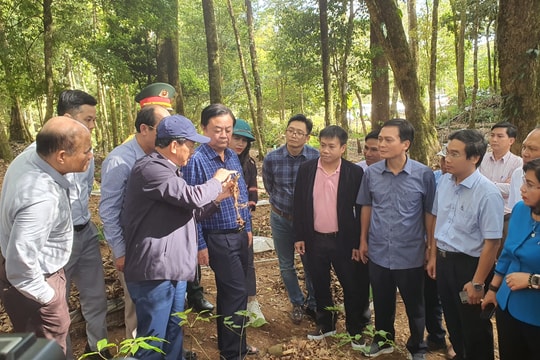 Bộ Nông nghiệp và Phát triển nông thôn sẽ làm cầu nối, kết nối doanh nghiệp đầu tư vào Kon Tum