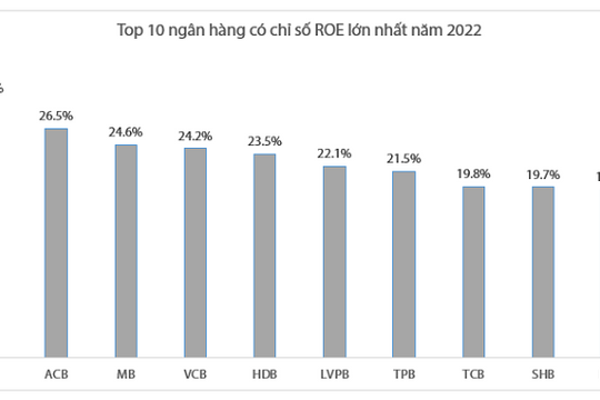 Những ngân hàng có ROE cao nhất năm 2022: VIB là quán quân, BIDV bứt tốc vào Top 10