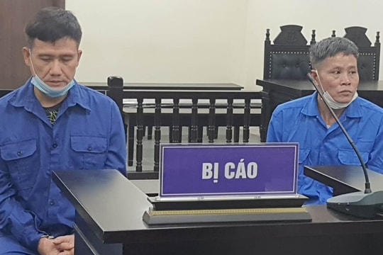 Hai người đàn ông vào tù vì đánh chết kẻ trộm chó