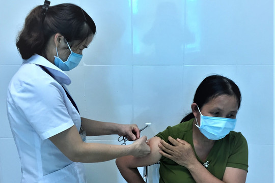 Người đi tiêm vaccine phòng dại tăng sau Tết