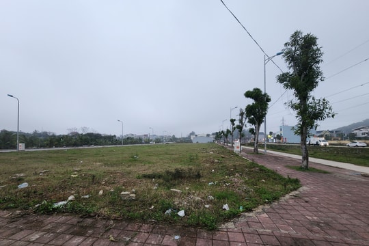 Hoàn thiện hồ sơ hủy quyết định trúng đấu giá Khu dân cư hơn 130 tỷ đồng