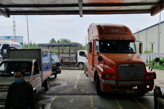 Tạm dừng tiếp nhận và thẩm định hồ sơ thiết kế cải tạo xe cơ giới