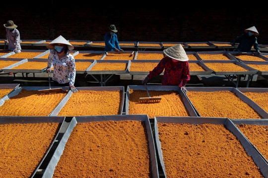 Nghề làm muối ớt Tây Ninh được công nhận di sản quốc gia