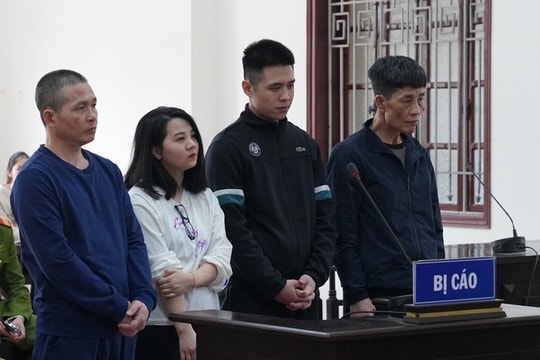 Tuyên án nhóm mua bán ma túy, giấu trong bao gạo