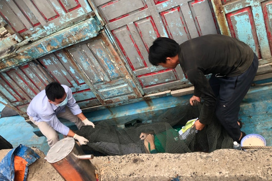 Công an Đà Nẵng tìm thân nhân một thi thể nữ phát hiện trên biển