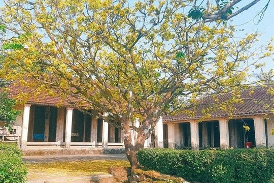 Quảng Nam tái hiện nhiều hoạt động văn hóa truyền thống tại Hội làng Lộc Yên