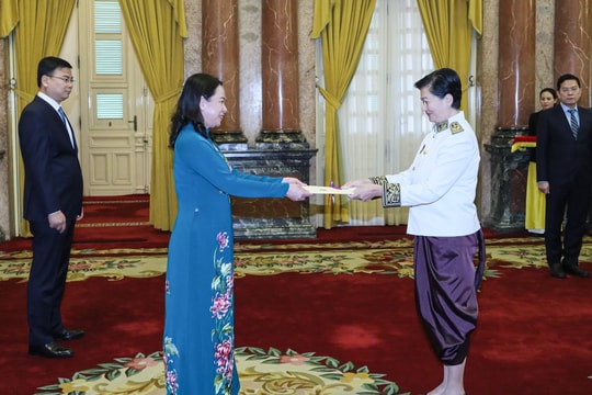 Quyền Chủ tịch nước tiếp các Đại sứ đến trình Quốc thư