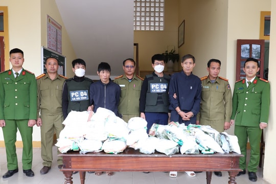 Bắt giữ 2 đối tượng vận chuyển trái phép 31 kg ma túy