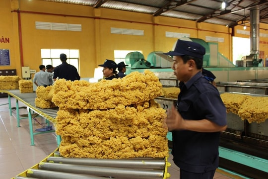 Xuất khẩu cao su sang Hoa Kỳ giảm mạnh