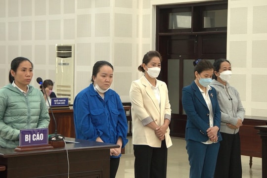 Kế toán trường mầm non tham ô gần 1 tỷ đồng