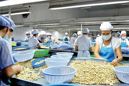 Xuất khẩu điều đối mặt nhiều thách thức trong năm 2023