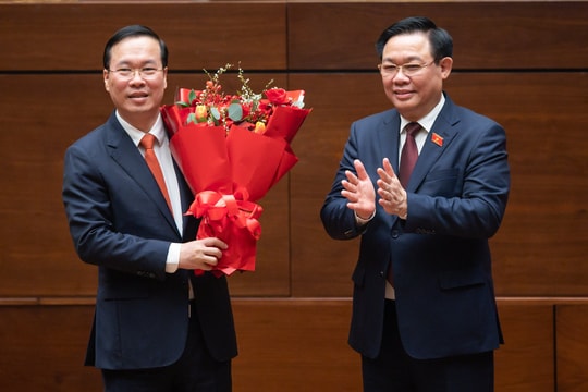 Hiến pháp quy định Chủ tịch nước có nhiệm vụ, quyền hạn gì?