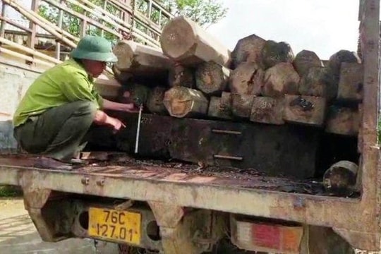 Điều tra nhóm “lâm tặc” tấn công kiểm lâm