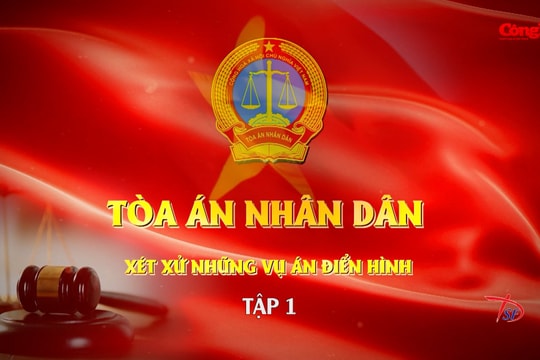 Phim tài liệu: Tòa án nhân dân xét xử những vụ án điển hình - Tập 1