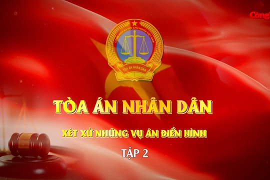 Phim tài liệu: Tòa án nhân dân xét xử những vụ án điển hình - Tập 2