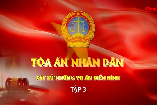 Phim tài liệu: Tòa án nhân dân xét xử những vụ án điển hình - Tập 3