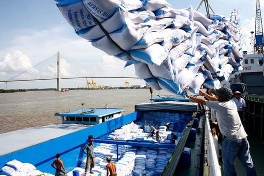 Giá gạo xuất khẩu tăng gần 10% trong hai tháng đầu năm
