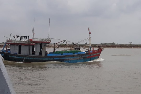 Nam Định: 1.178 tàu cá được cấp phép khai thác thủy sản