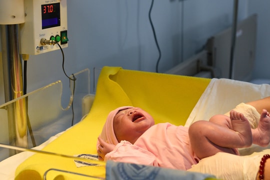 Dân số Việt Nam sẽ cán mốc 100 triệu người vào tháng 4/2023