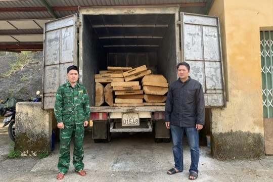 Bắt giữ xe tải đông lạnh chở 19 phách gỗ trái phép