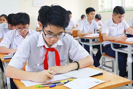 TP Hồ Chí Minh: Học sinh có mã định danh mới được tuyển sinh đầu cấp
