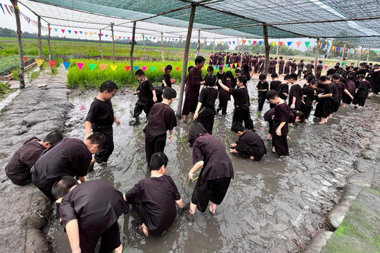 TP.HCM: Các trường tiểu học không được tổ chức hoạt động trải nghiệm ngoài thành phố