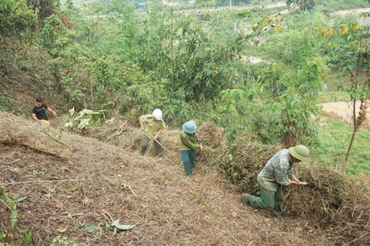 Lào Cai: Tăng cường các biện pháp phòng, chống cháy rừng