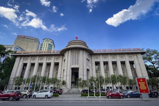 Ngân hàng Nhà nước chỉ đạo đẩy mạnh cho vay thu mua, kinh doanh thóc, gạo