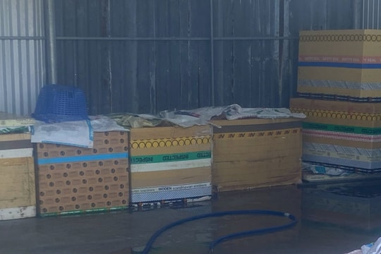 Khánh Hòa: Phát hiện 5 tấn thịt, nội tạng heo thối chuẩn bị đưa vào Nam tiêu thụ