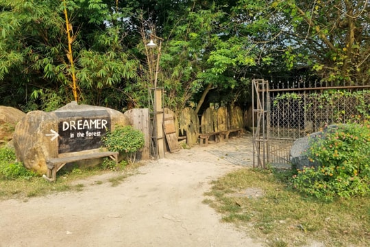 Đình chỉ khu du lịch tự phát Dreamer In The Forest ở Đà Nẵng