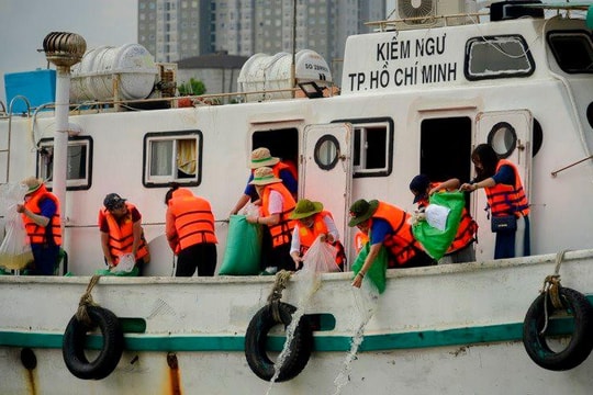 TP. HCM thả hơn 1 tấn cá chào mừng 64 năm ngành Thủy sản