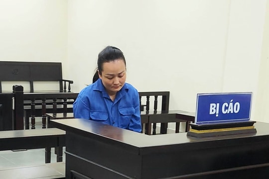 Lừa đảo đi du học nước ngoài, nữ giám đốc lĩnh án 10 năm tù