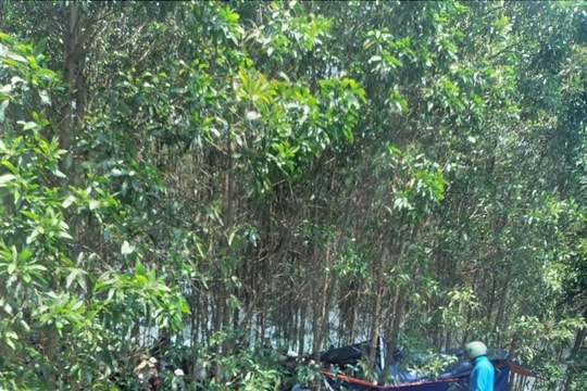 Phát hiện thi thể nữ sinh lớp 6 dưới lòng sông Rào Trổ