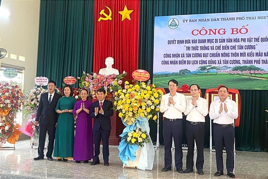 "Tri thức trồng và chế biến chè Tân Cương" là Di sản văn hóa phi vật thể quốc gia