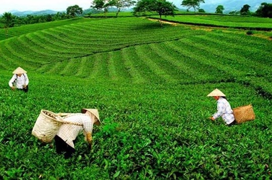 Thái Nguyên: Đầu tư gần 4.140 tỷ đồng thực hiện Chương trình giảm nghèo