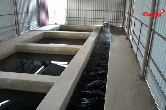 Thái Nguyên: Nhà máy nước sạch Chùa Hang có nguy cơ bị ô nhiễm