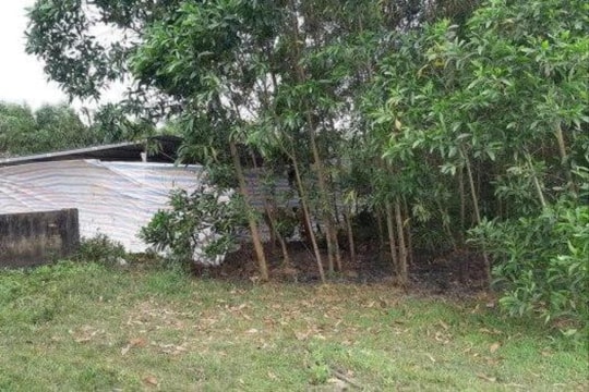 Phát hiện thi thể cháy biến dạng ở nghĩa trang