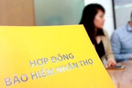 Bộ Tài chính yêu cầu rà lại hợp đồng bảo hiểm với diễn viên Ngọc Lan