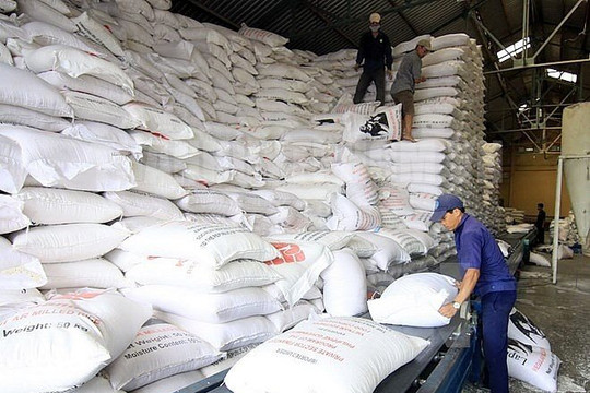 Ninh Thuận: Cấp phát gạo hỗ trợ cho học sinh vùng đặc biệt khó khăn