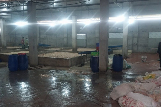 Kinh doanh 7,1 tấn lòng lợn thối, bị phạt 34 triệu đồng
