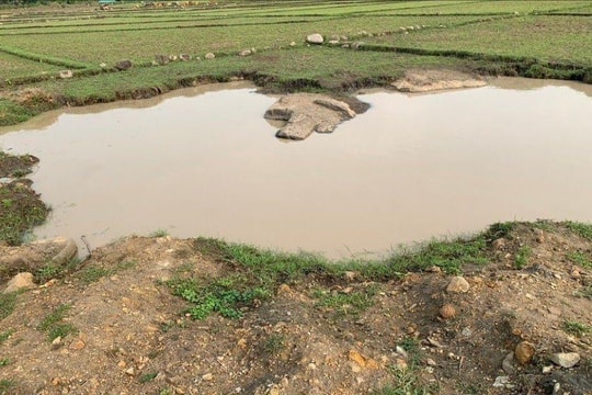 Hai em nhỏ bị đuối nước thương tâm