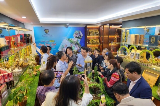 Mở cửa Phòng trưng bày “Nhận diện đúng sâm Ngọc Linh trên thị trường”