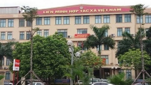 Nhiều vi phạm tại Đảng đoàn Liên minh Hợp tác xã Việt Nam