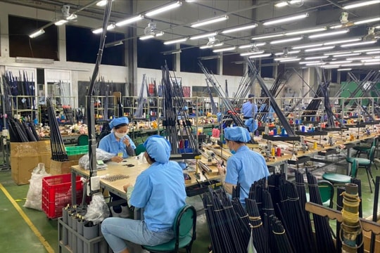 Đà Nẵng có hơn 2.000 doanh nghiệp ngừng hoạt động