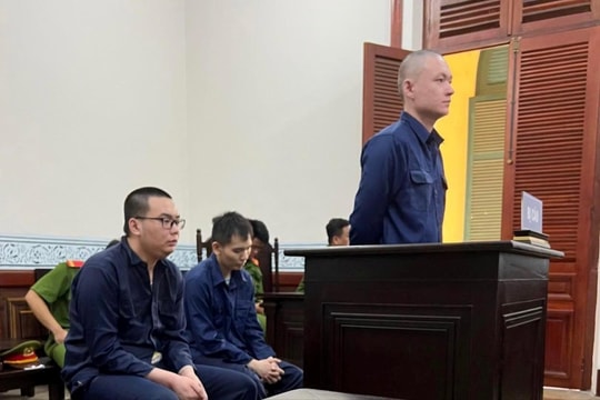 Trả hồ sơ vụ vận chuyển ma túy ngụy trang trong dạ dày lợn