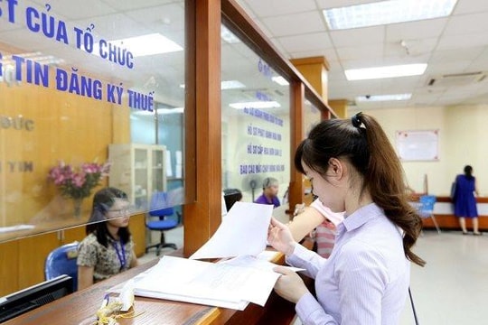 Khẩn trương triển khai Nghị định về gia hạn thời hạn nộp thuế, tiền thuê đất năm 2023