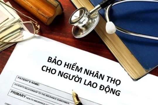 Bộ Tài chính: Lập đường dây nóng phản ánh về bảo hiểm nhân thọ